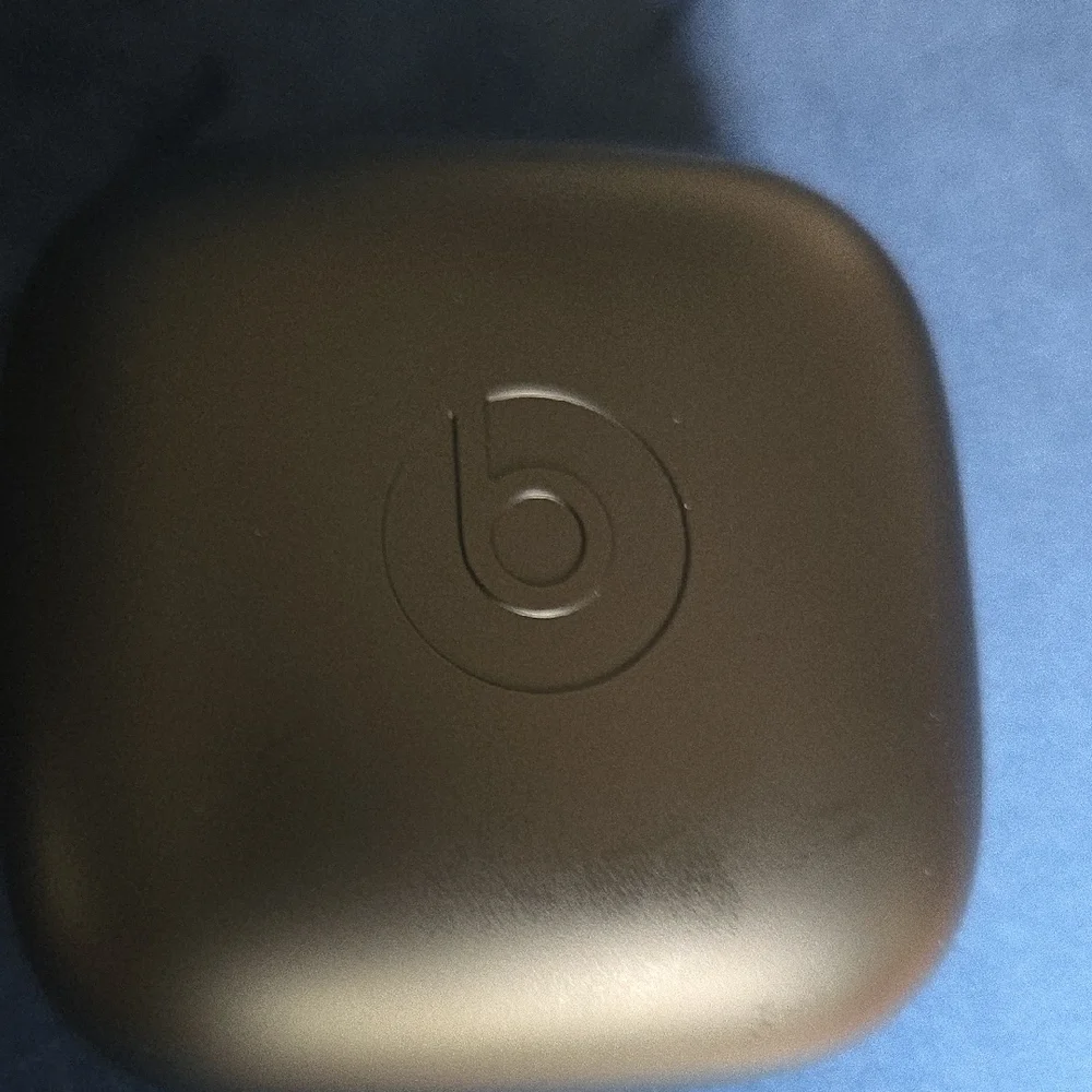 Powerbeats Pro True Wireless Earbuds - Blue